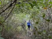 Adolescente de 15 anos é encontrado morto em mata no Vergel do Lago