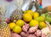 Mais de 50 mil alunos em Maceió são beneficiados com entrega de alimentos saudáveis e nutritivos