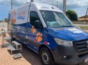 Castramóvel: Triagem de cães e gatos no bairro Petrópolis começa nesta terça (7)