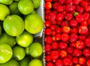 Feira da Agricultura Familiar passa a ser realizada no Mercado do Artesanato a partir deste sábado (20)
