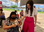Com autoria de Teca Nelma, política de controle de natalidade de animais se torna lei em Maceió