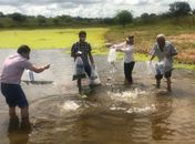 Prefeita Santana Mariano  distribui cerca de 60.000 alevinos para as barragens de Major Izidoro
