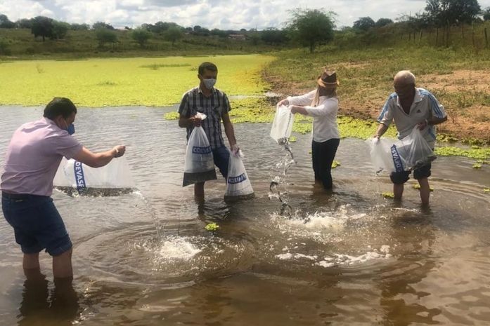 Prefeita Santana Mariano distribui cerca de 60.000 alevinos para as barragens de Major Izidoro
