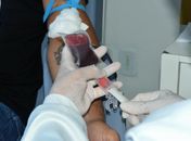 Unidades do Hemoal funcionam em horário especial nesta quarta, feriado da Consciência Negra