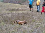 Acusado de tráfico de drogas é encontrado morto 