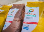 Governo de Alagoas lança Programa Planta Alagoas nesta segunda (18) em Arapiraca