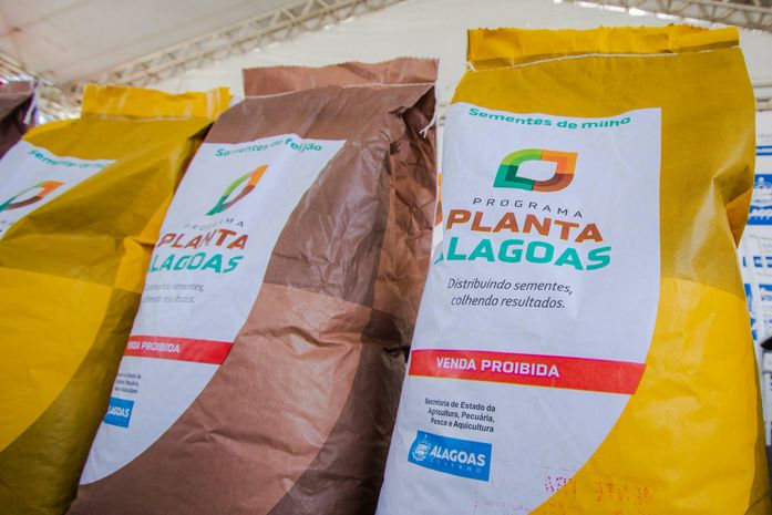 Governo de Alagoas lança Programa Planta Alagoas nesta segunda (18) em Arapiraca
