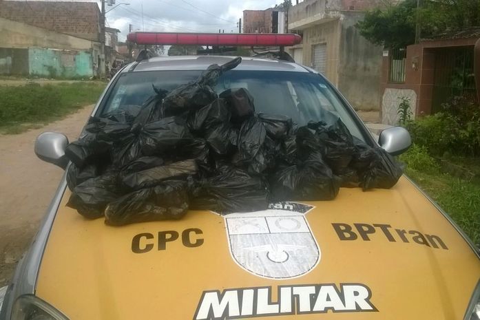 Polícia apreende 27 quilos de maconha enterrados em terreno