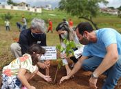 Calçada Verde: IMA lança projeto com foco em arborização urbana