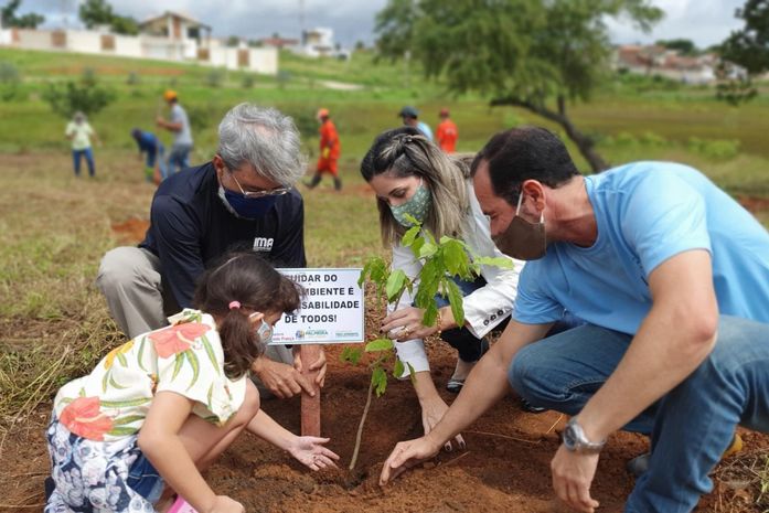 Calçada Verde: IMA lança projeto com foco em arborização urbana