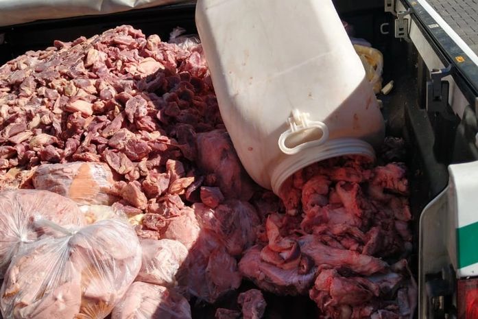 Carnes e peixes impróprios para consumo foram apreendidos em estabelecimentos da parte alta de Maceió.