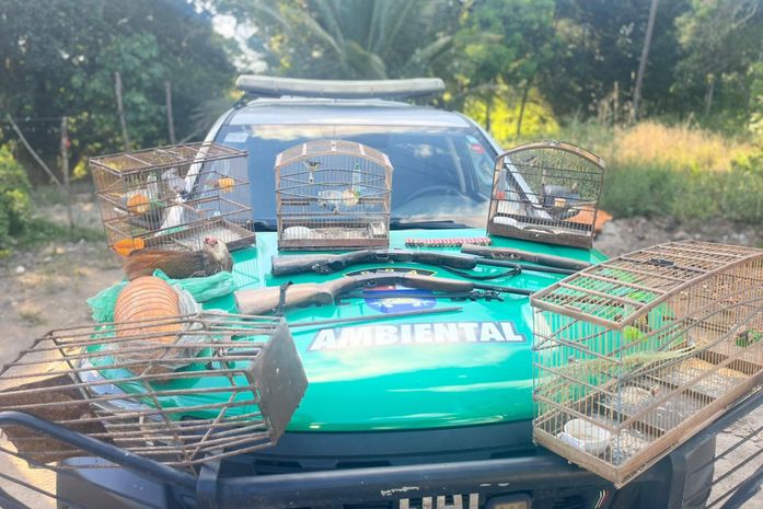 Após denúncia, aves silvestres, armas e armadilhas de caça são apreendidos em Porto de Pedras