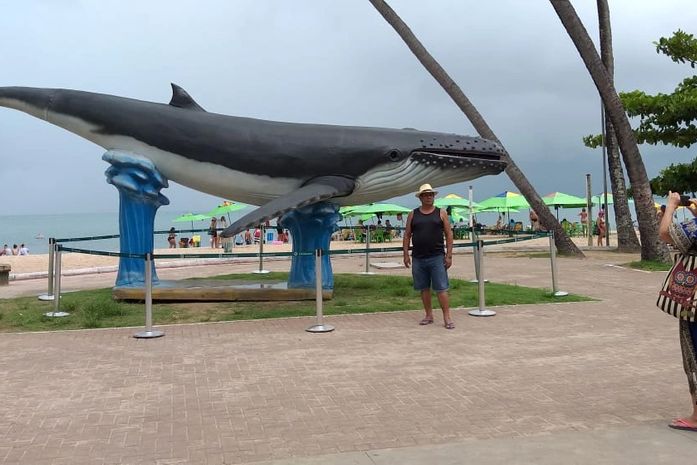 Sem autorização da prefeitura, escultura de baleia é colocada na orla