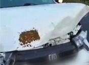 Filho de ex-vocalista da banda Cavaleiros do Forró sofre acidente a caminho do velório do pai
