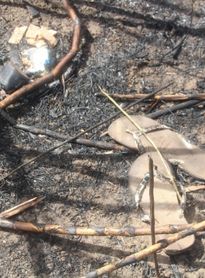 Vestígios encontrados pela Polícia Científica podem ajudar na identificação de ossada achada em Coruripe