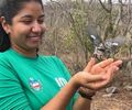 Céu do Sertão ganha mais cores com soltura de 38 aves resgatadas pela FPI