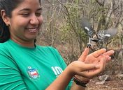 Céu do Sertão ganha mais cores com soltura de 38 aves resgatadas pela FPI