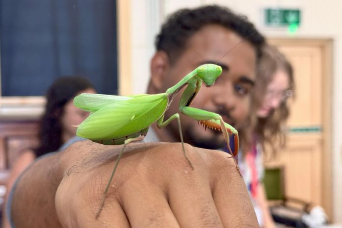 Daqui pro Mundo: alunos alagoanos visitam museu de história natural em Bournemouth