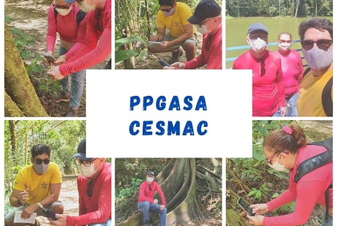 Projeto do PPGASA Cesmac analisa capacidade de resposta fenológica e susceptibilidade de um grupo de plantas mais ameaçado do Brasil