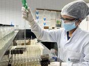 IMA e Semarh monitoram a qualidade da água de 35 mananciais hídricos em Alagoas
