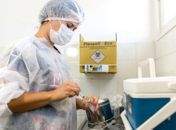 Vacinação contra Influenza e o Sarampo