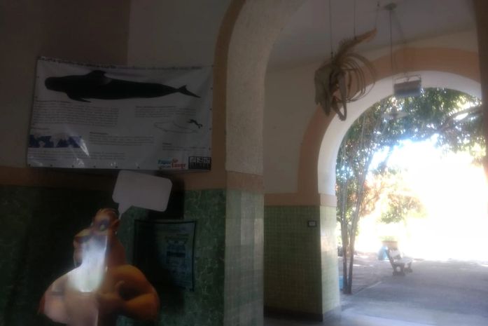 Museu de História Natural