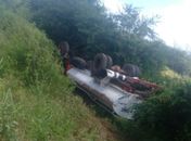 Caminhão-pipa capota e motorista fica ferido na AL 115