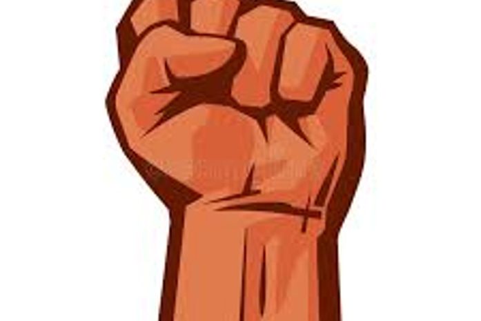 O Rio Grande do Sul, que é um dos estados,de maioria branca,elegeu 5 representantes pret@s. Alagoas,do Quilombo dos Palmares, não elegeu ninguém