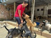 PL aprovado em Maceió quer proteger pessoas com sensibilidade auditiva e animais do barulho causado por fogos de estampido