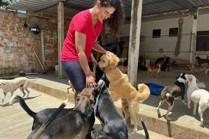 PL aprovado em Maceió quer proteger pessoas com sensibilidade auditiva e animais do barulho causado por fogos de estampido