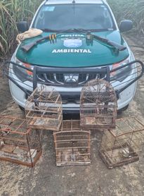 PM-AL resgata mais de 250 animais silvestres e apreende oito armas em operações ambientais