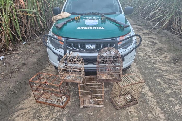 PM-AL resgata mais de 250 animais silvestres e apreende oito armas em operações ambientais