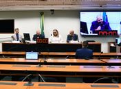 Comissão da Câmara autoriza estados a legislarem sobre armas
