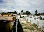 Fiscalização ocorreu em Junqueiro