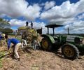 Programa Municipal de Produção de Silagem beneficia produtores rurais em Santana do Ipanema
