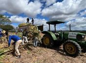 Programa Municipal de Produção de Silagem beneficia produtores rurais em Santana do Ipanema
