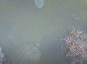 Drone flagra manchas e movimentações atípicas perto da Mina 18, na Lagoa Mundaú