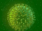 Opas: Brasil pode chegar a 88 mil óbitos por covid-19 em agosto