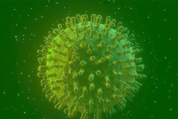 Opas: Brasil pode chegar a 88 mil óbitos por covid-19 em agosto