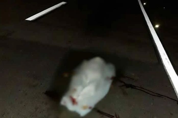 Homem morre atropelado por carreta em Teotônio Vilela