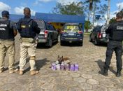 Operação apreende 30kg de maconha dentro de ônibus na BR-101, em São Sebastião