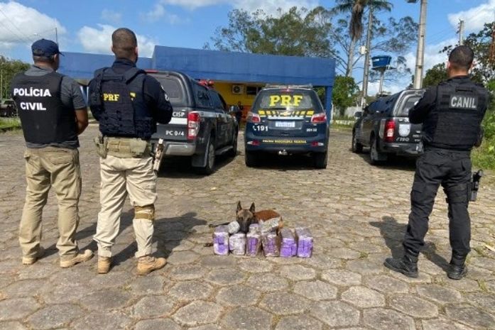 Operação apreende 30kg de maconha dentro de ônibus na BR-101, em São Sebastião