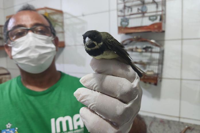 Dia de Defesa da Fauna destaca ações promovidas pelo Centro de Triagem de Animais nesta sexta