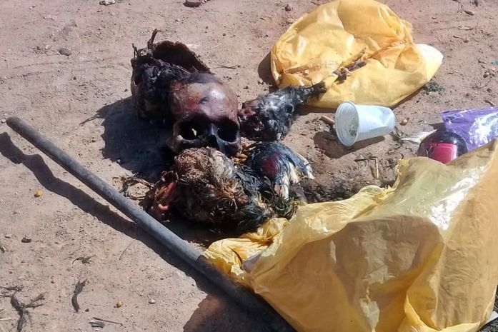 PM encontra crânio humano em despacho de umbanda