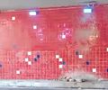 Viadutos da Av. Afrânio Lages têm cabos e equipamentos de iluminação furtados