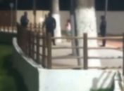 Agente da Guarda Municipal é filmado agredindo homem durante abordagem em Palmeira dos Índios