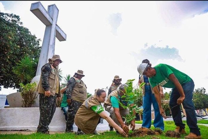 Arapiraca registra mais de 5 mil plantios de árvores só no primeiro semestre de 2024