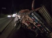 Veículo trasportava bagaço de cana-de açúcar; motorista não se feriu.