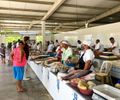 Feriado Dia de Finados: feiras lives e mercados públicos funcionarão em horário especial; confira