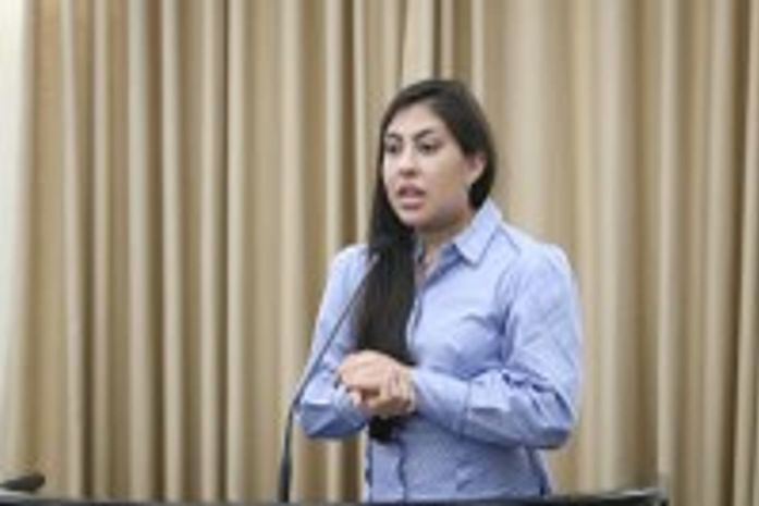 Sessão especial vai discutir sobre o trabalho no lar